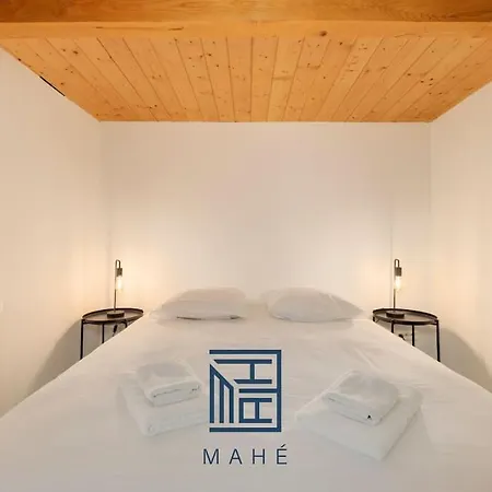 Pepiniere - Loft Renove Avec Parking * Nancy