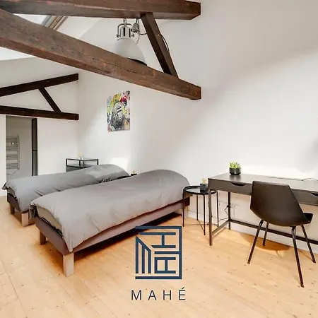 Pepiniere - Loft Renove Avec Parking